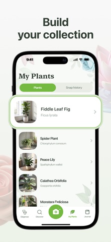 Plantity: Plant Identification iPhone screenshot
