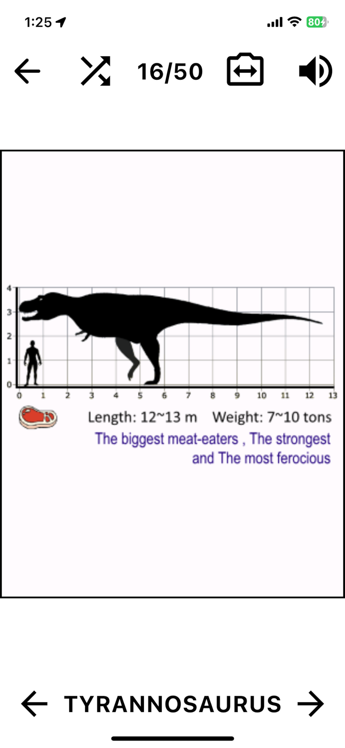 Dinosaur Flashcard Quiz