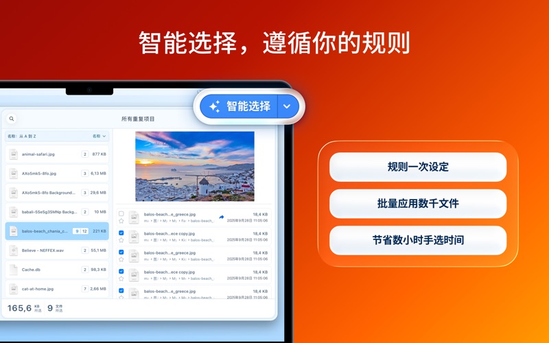 Duplicate File Finder Pro