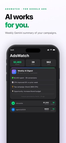 AdsWatch: Campaigns & Ads screenshot