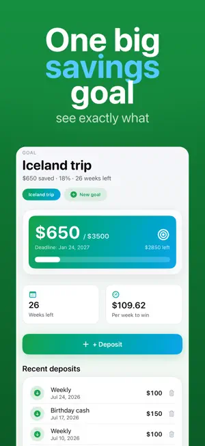 Money Savings Goal Tracker Pro screenshot 1