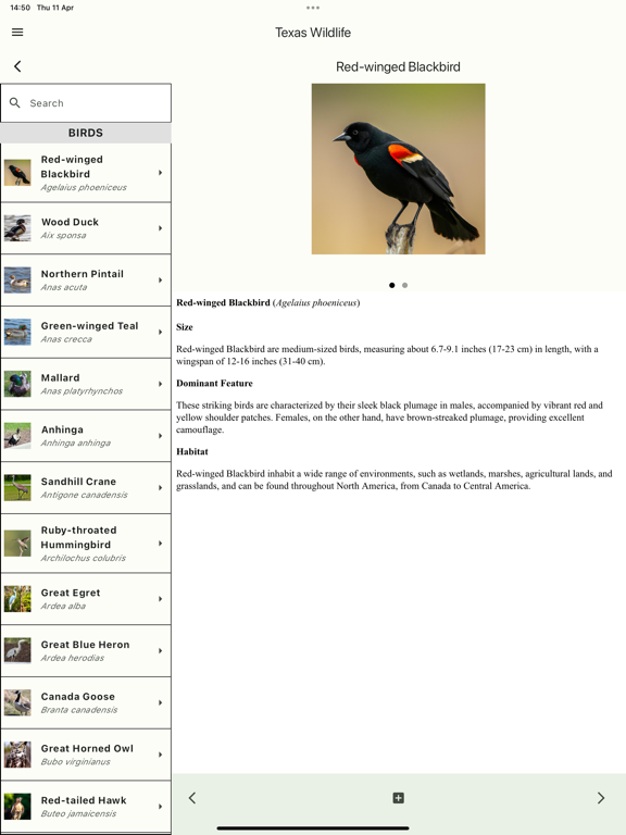 Screenshot #5 pour Wildlife of Texas