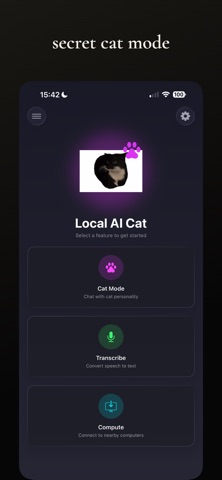 Local AI Chat iPhone screenshot