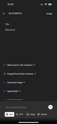 BLACKBOXAI screenshot 3