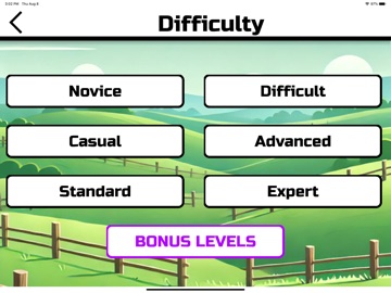 Fences Puzzle iPad screenshot