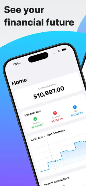 CashCrew - Future Cash Flow screenshot 1