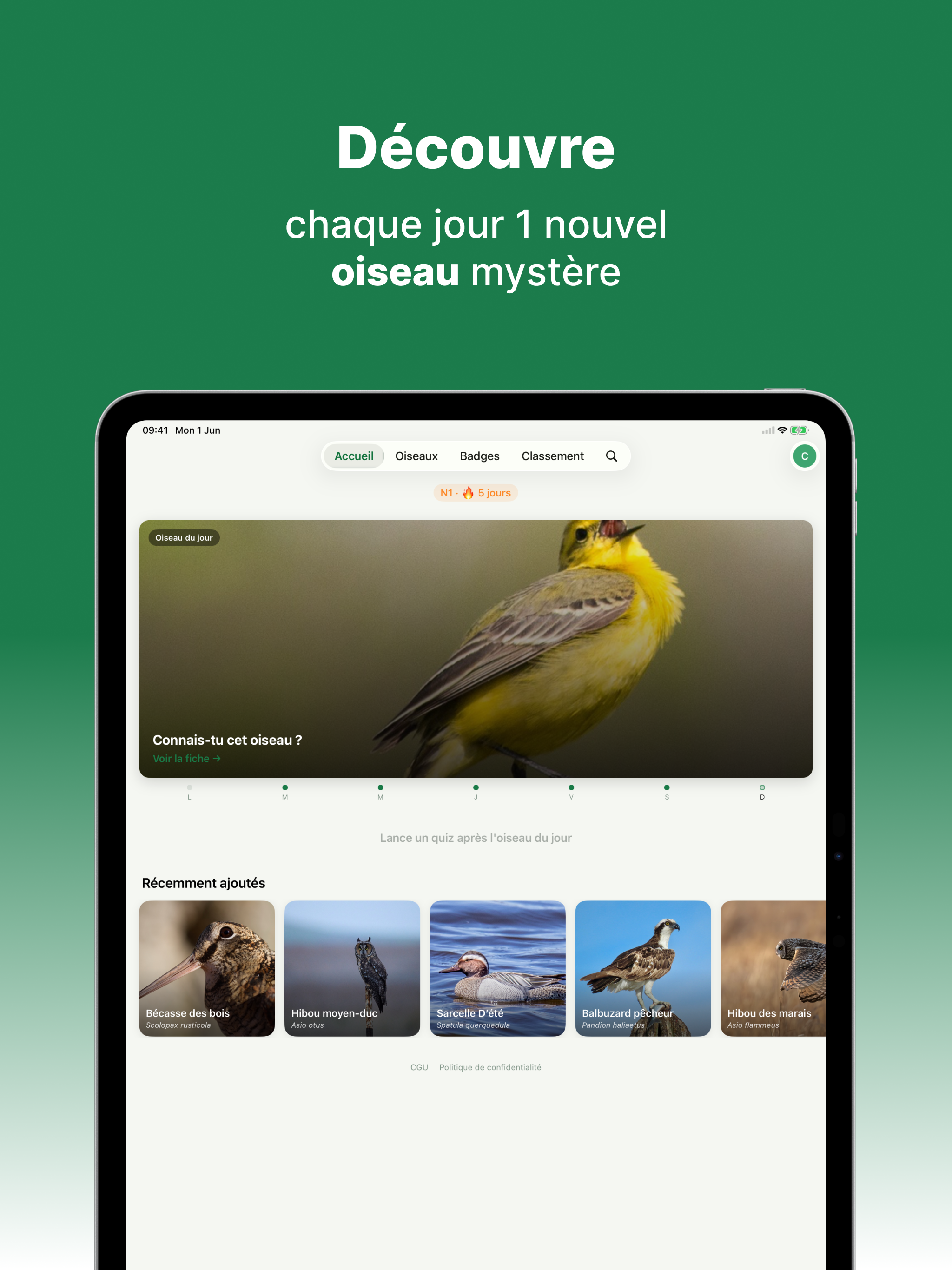 Pokepiaf: Apprends les oiseaux screenshot 8