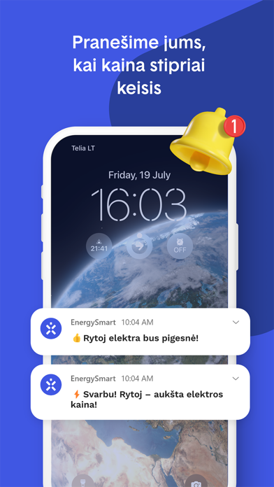 Ignitis EnergySmart Screenshot