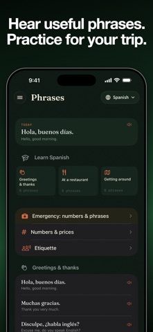 Voice Translator: Speak Abroad Screenshot 4 of 5