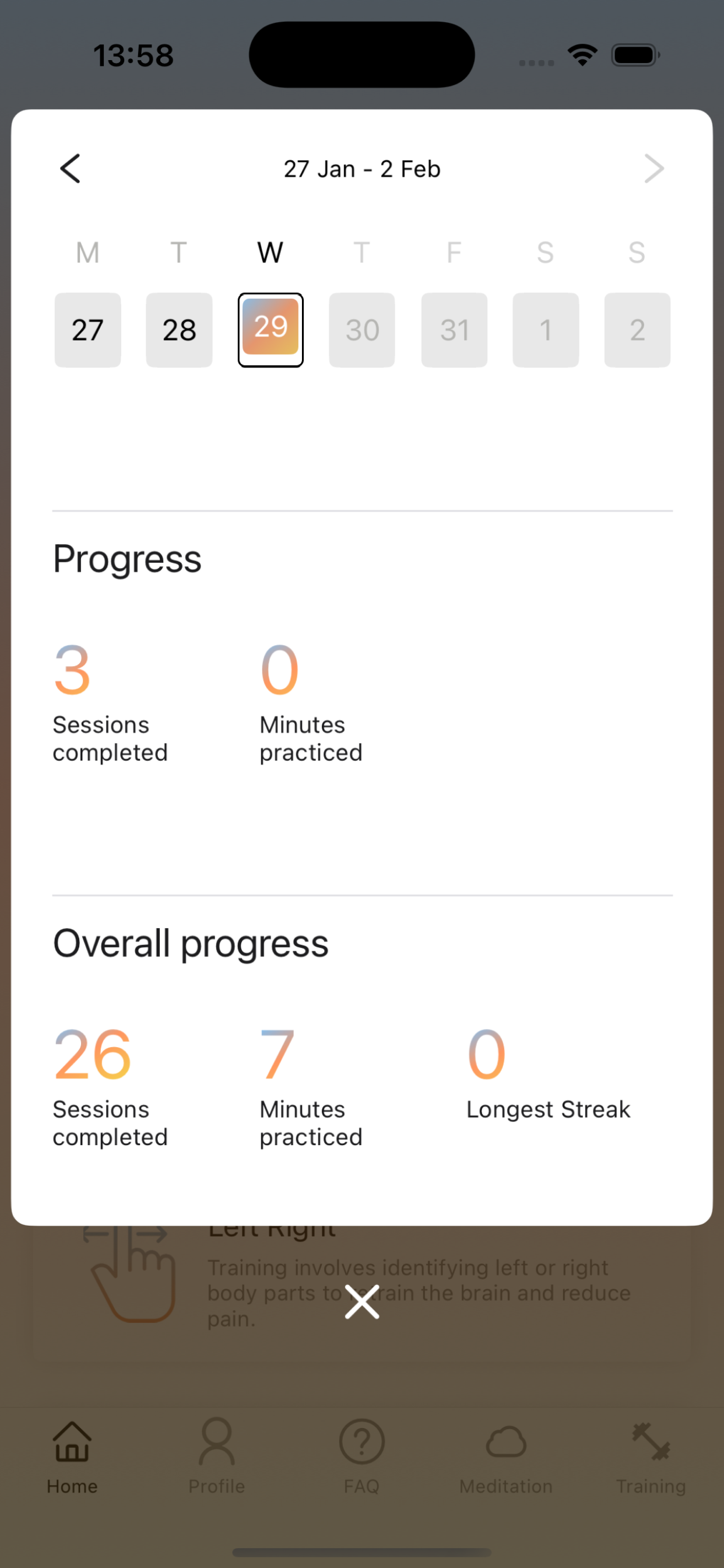 PAMELA screenshot 6