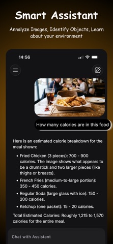 Local AI: Private & Offline Screenshot 3 of 5