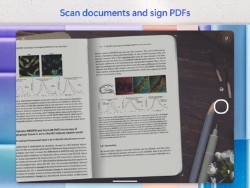 Microsoft 365 Copilot App Store preview screenshot 13