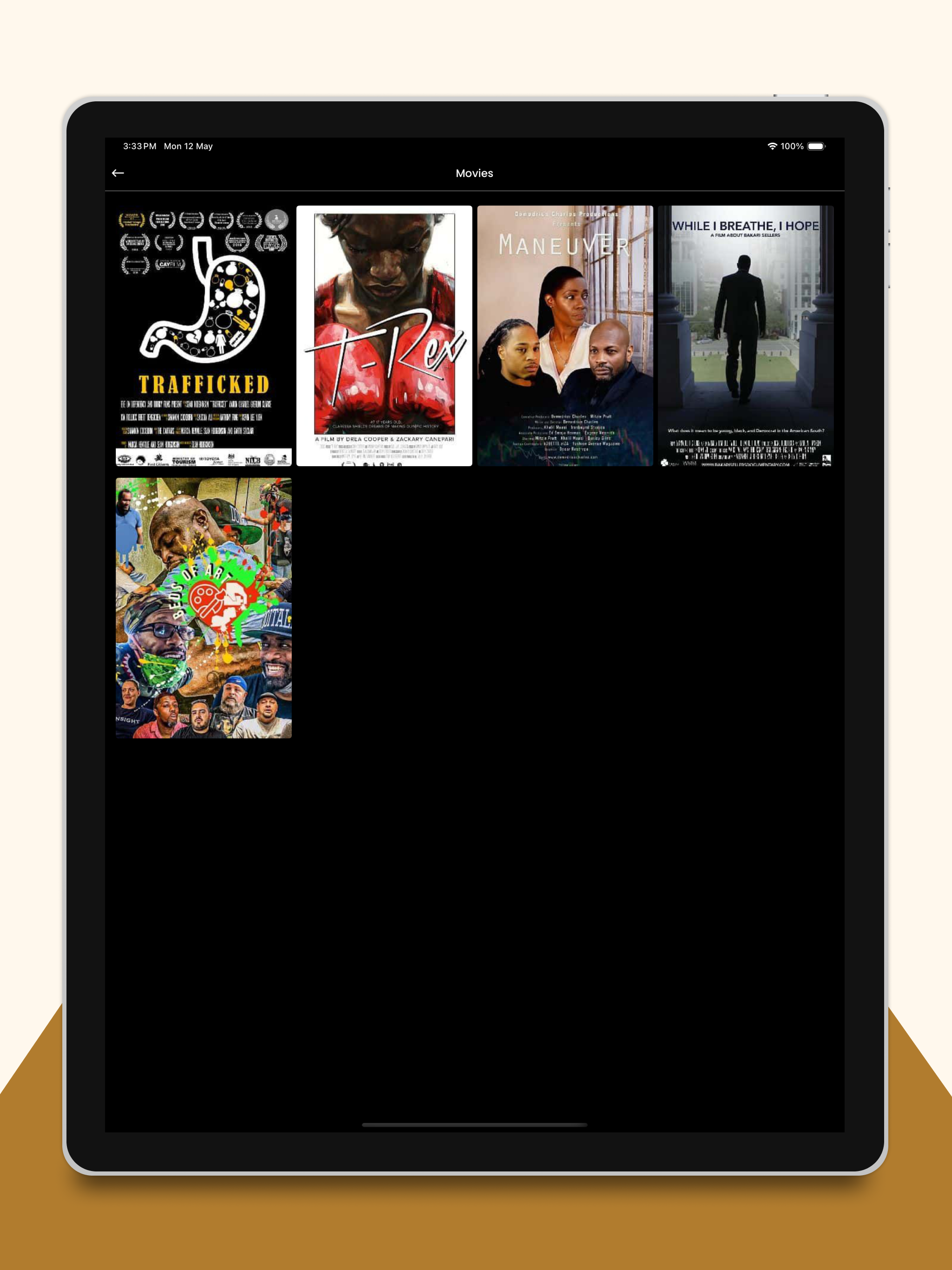 Vault Access screenshot 14