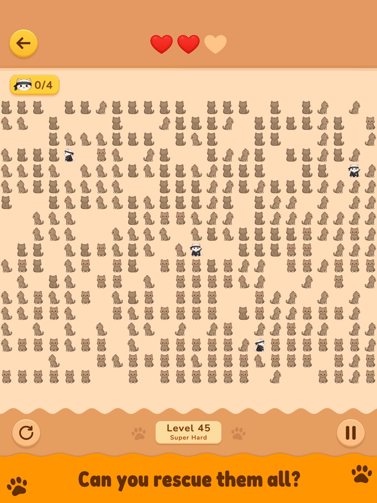 Screenshot 8 of Paws Home
