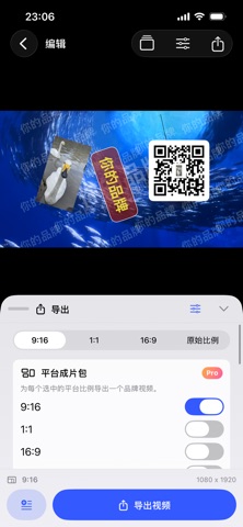 品牌水印-视频防盗大师 screenshot