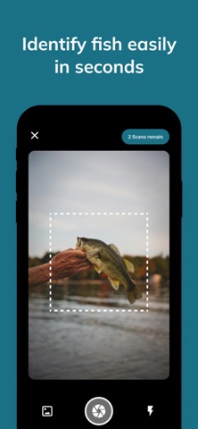 Fish Identifier - FishSnap Screenshot 1 of 3
