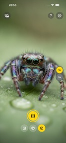 Zeus Focus Stacking screenshot