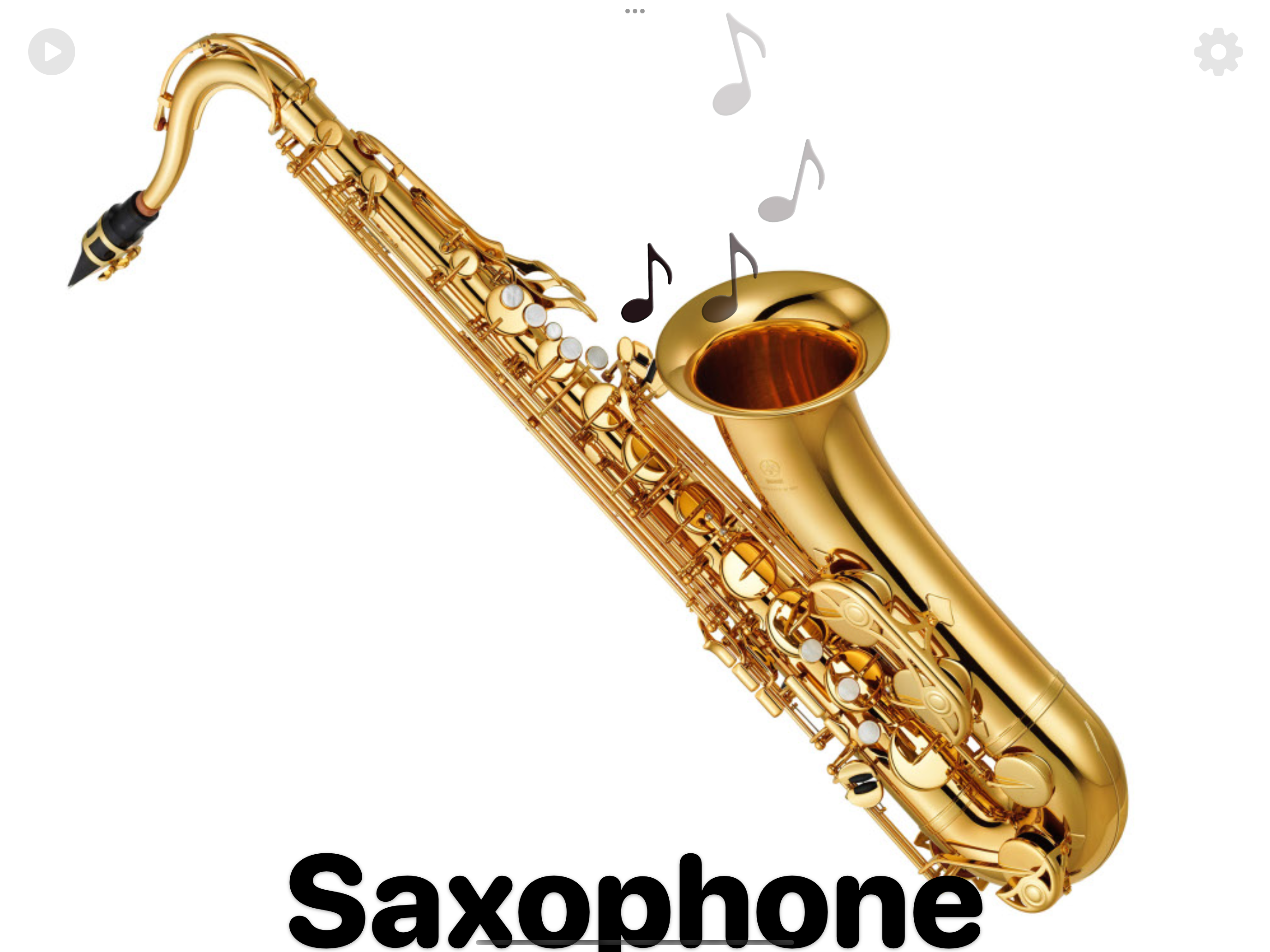 Instruments Picture Book