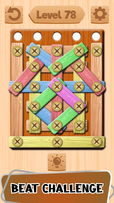 Wood Nuts & Bolts Puzzle, Game Screenshot