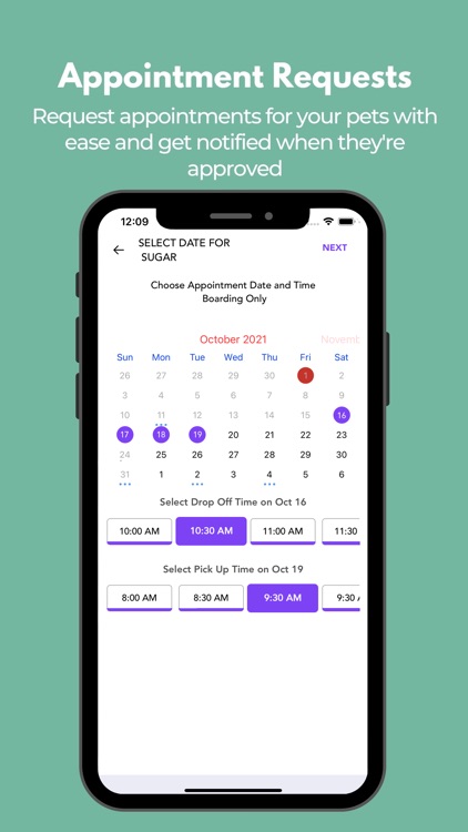 Playful Paws Pet Resort