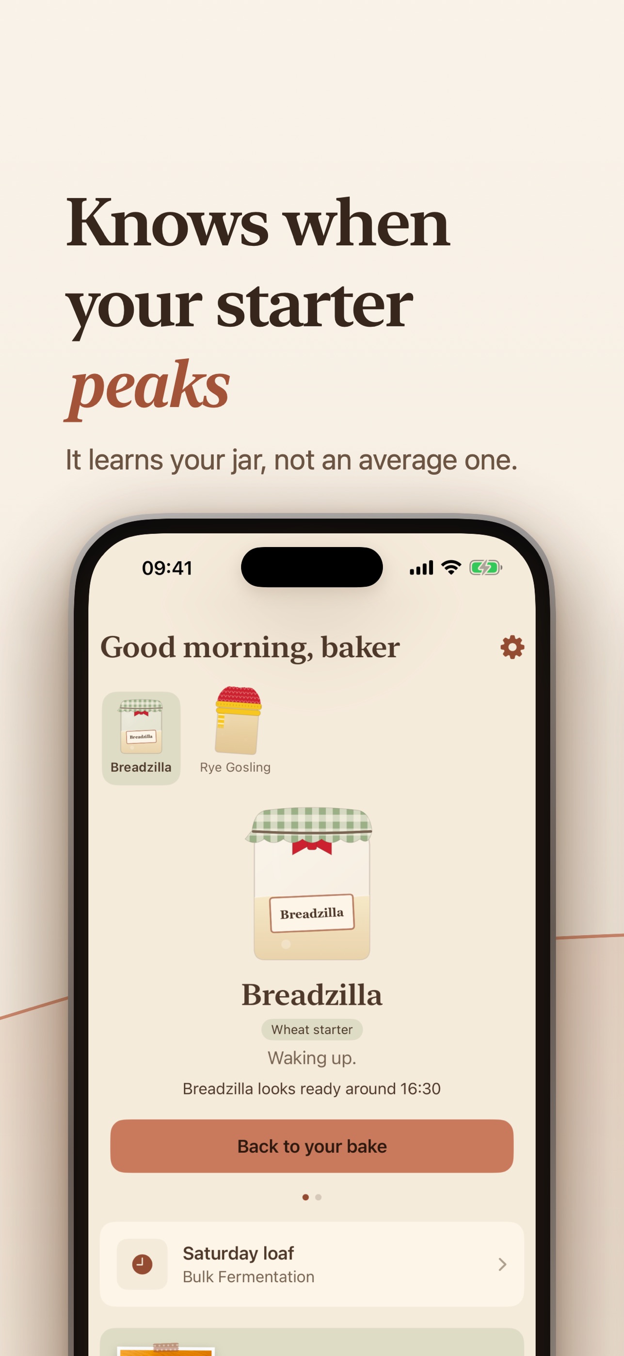 Screenshot 4 of Sourdough Diary