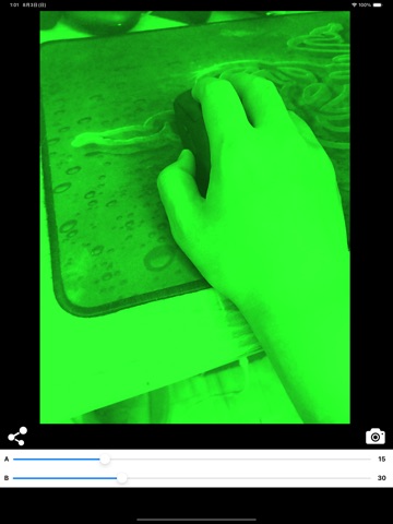 Night vision style camera iPad screenshot