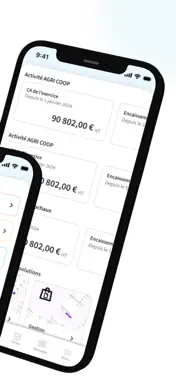 DN Associés screenshot 2