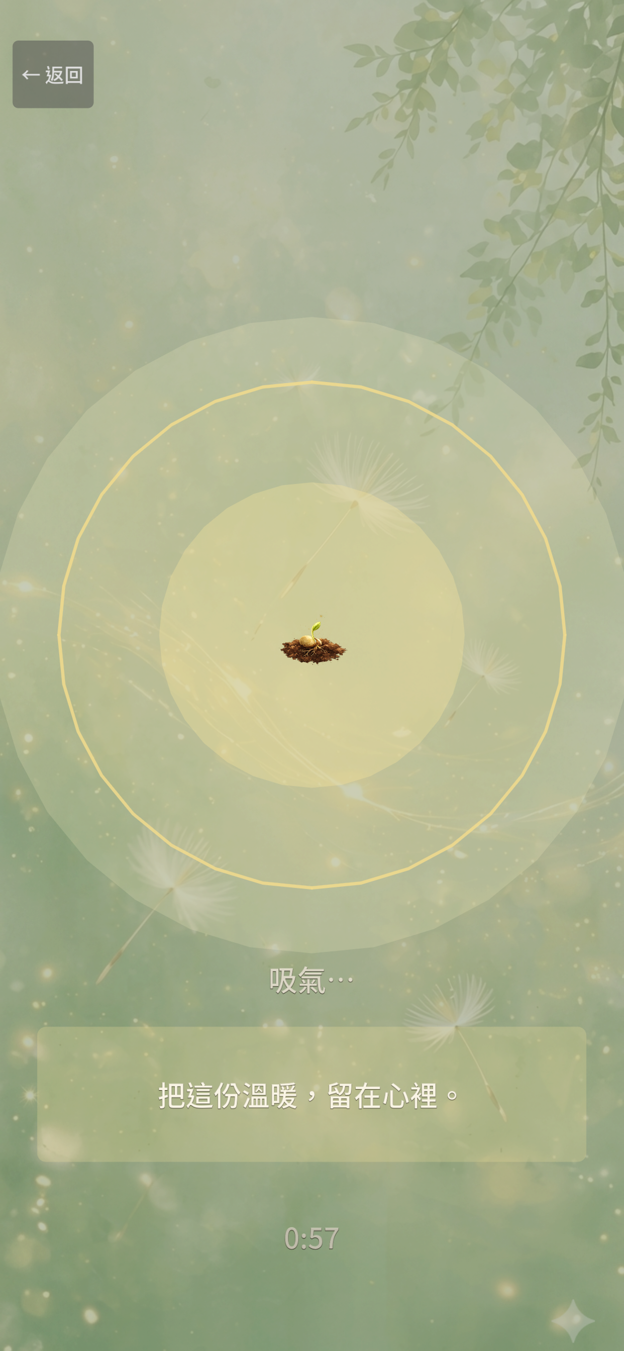 iRNs screenshot 4