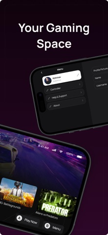 Play Headshot screenshot