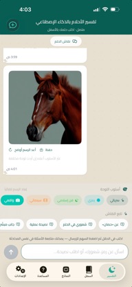 Islamic AI Dream Interpreting screenshot 5