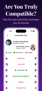 Numerology: Life Path Chart screenshot 2