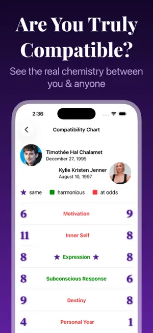 Numerology: Life Path Chart screenshot 2