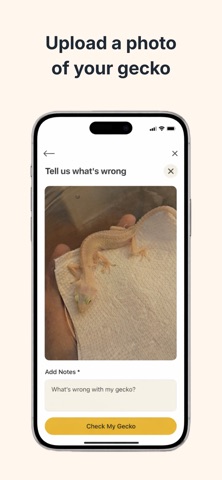 Gecko Expert Screenshot 2 of 4