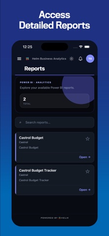 Helm Business Analytics Screenshot 5 of 10