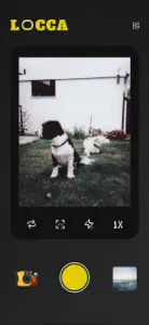 Locca Cam - Film Digi Camera screenshot #1 for iPhone