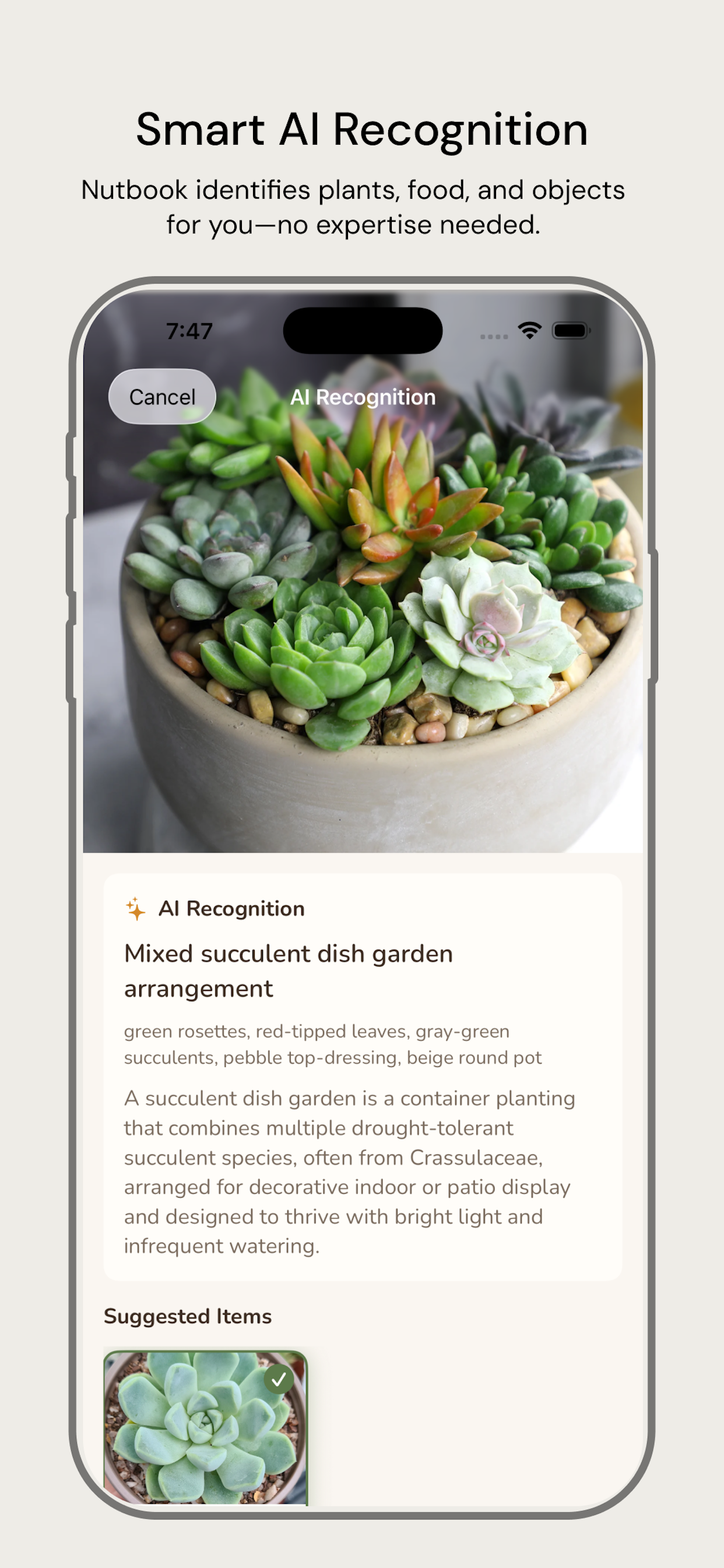 The Nutbook screenshot 2