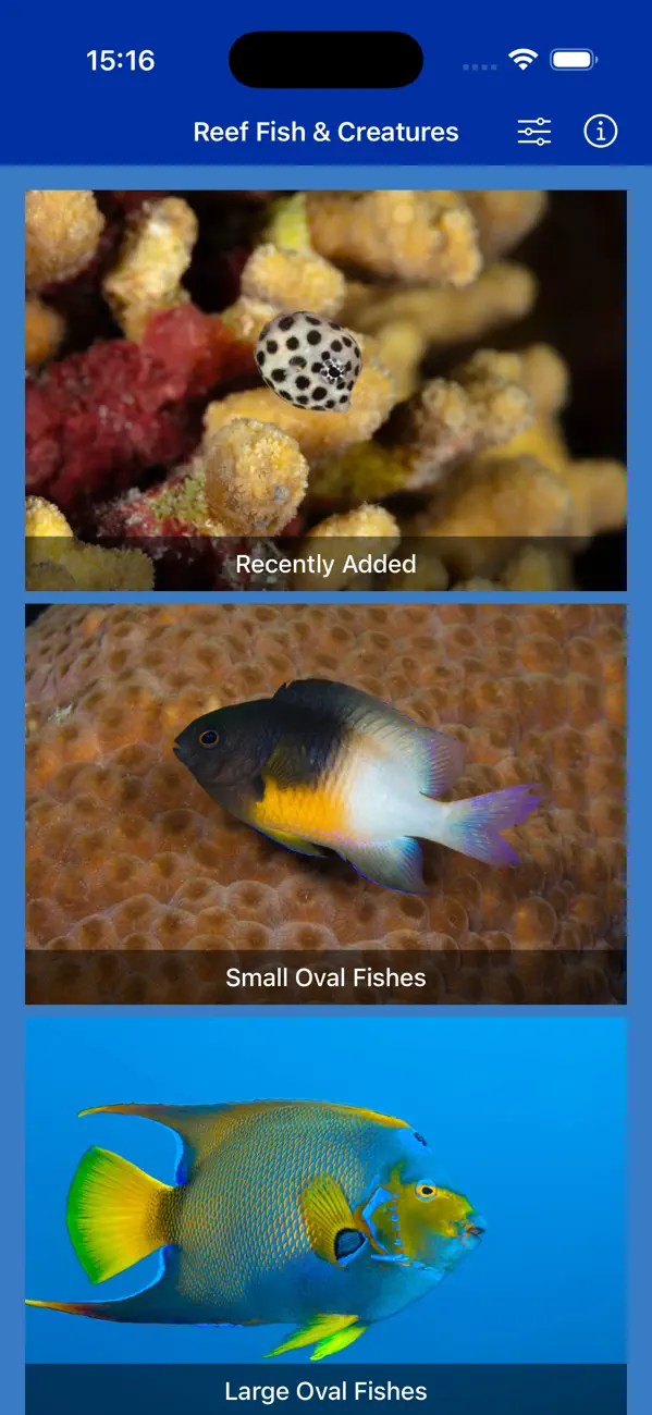 Screenshot #1 pour Bonaire Fish ID