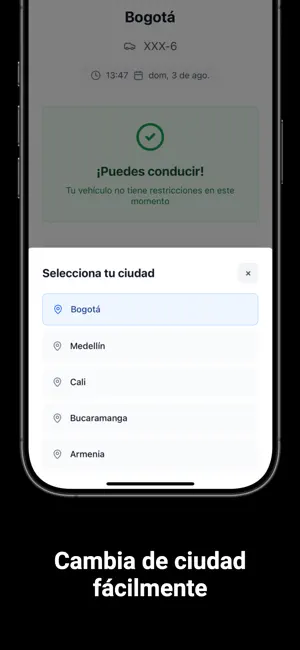 PicoSi screenshot 4