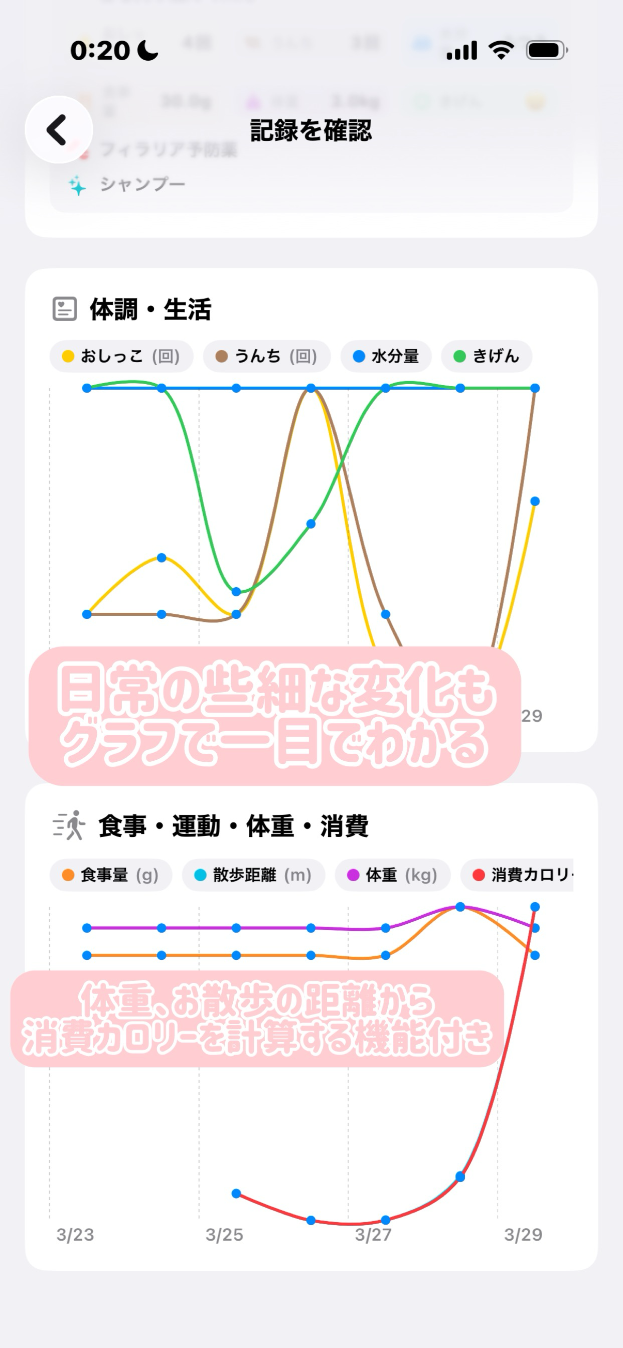 ワンダフル・ライフ