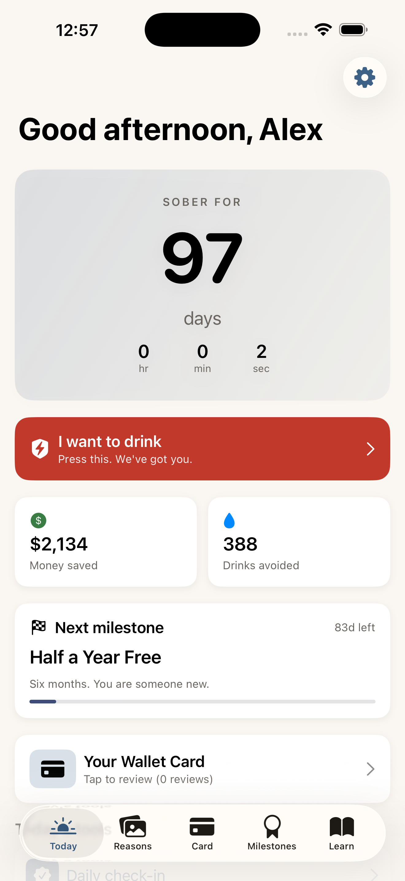 Sober Now screenshot 4