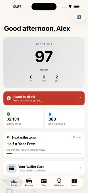 Sober Now screenshot 4