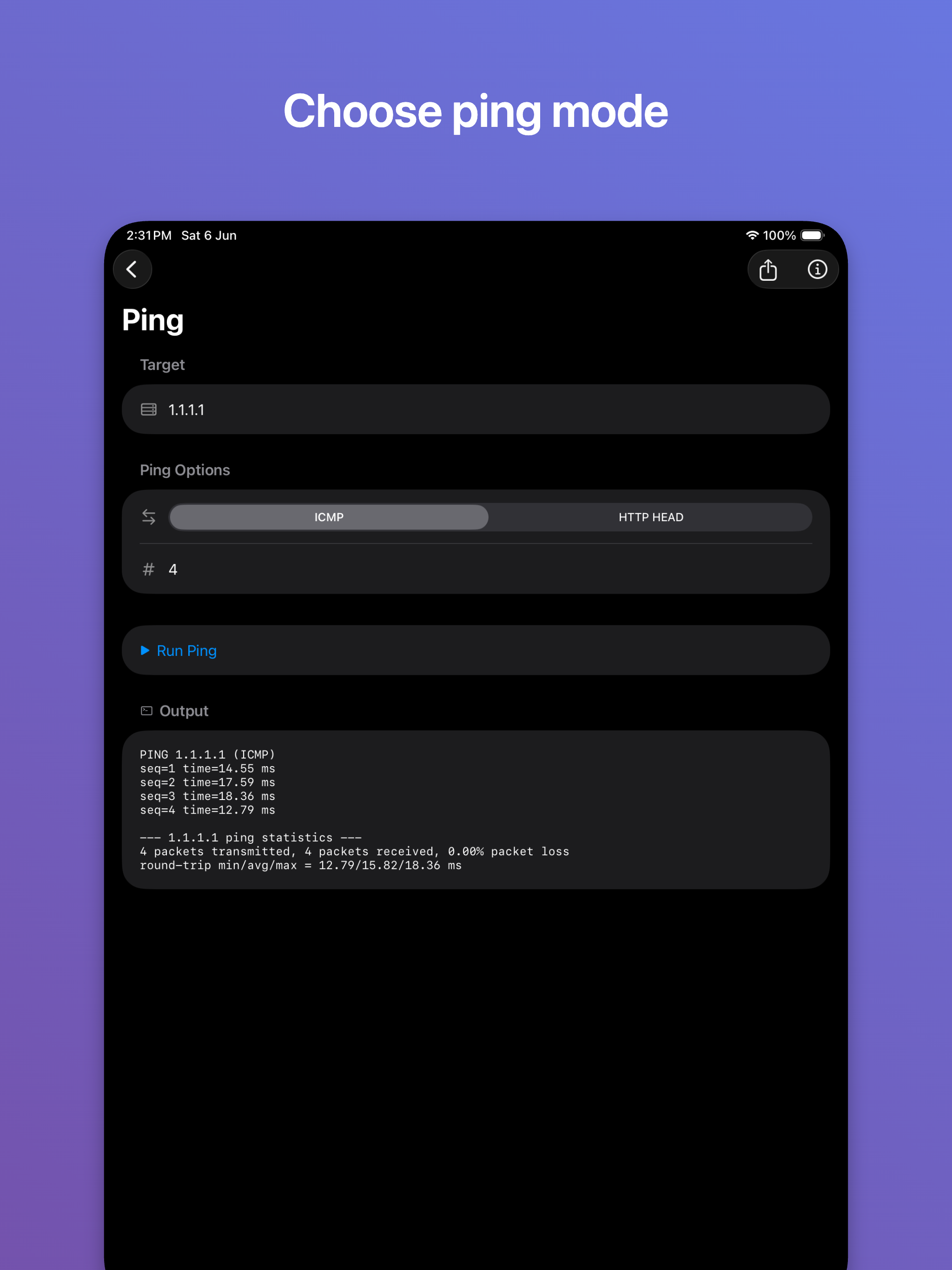 NetDebug Toolkit: Ping & DNS screenshot 16