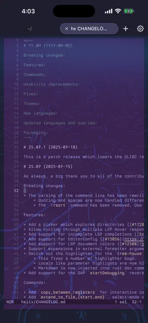 rootshell: Local Terminal, SSH iPhone screenshot 2