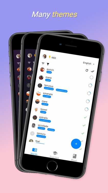 Mesmo - Language Learning Tool screenshot-5