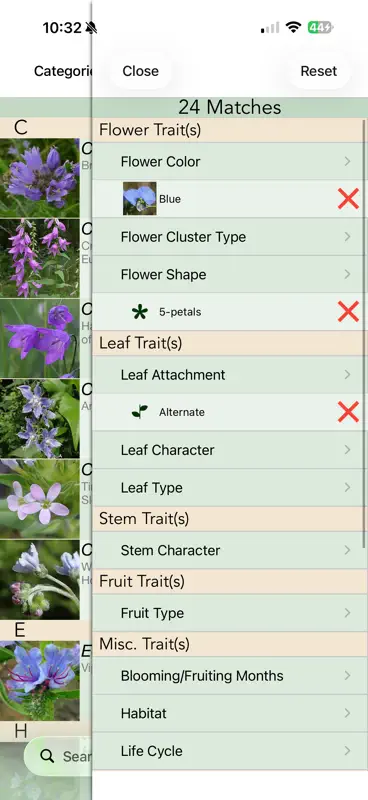 Minnesota Wildflowers Info. screenshot 2 of 10