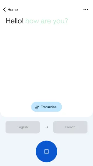 Google Translate screenshot 4