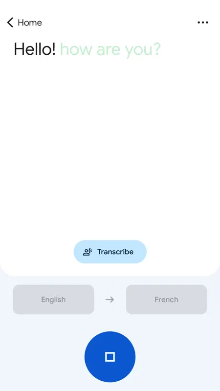 Google Translate screenshot 4 of 6