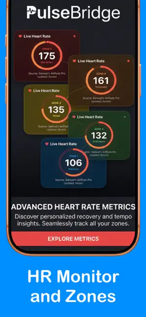 PulseBridge screenshot 1