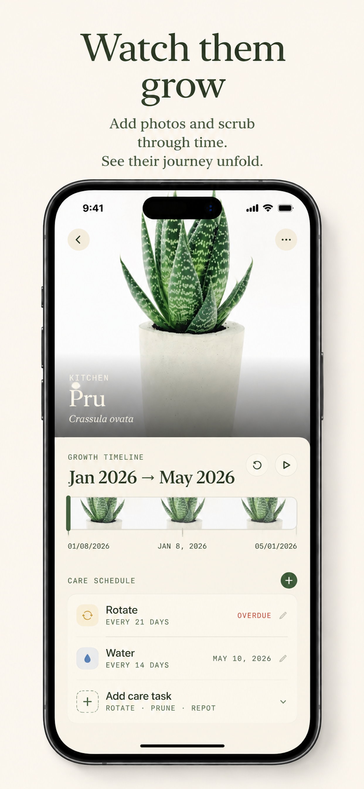 Plant!
