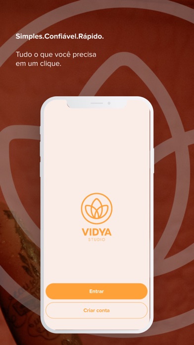 Vidya studio Screenshot